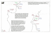 mal25 concepcion_thumb.gif